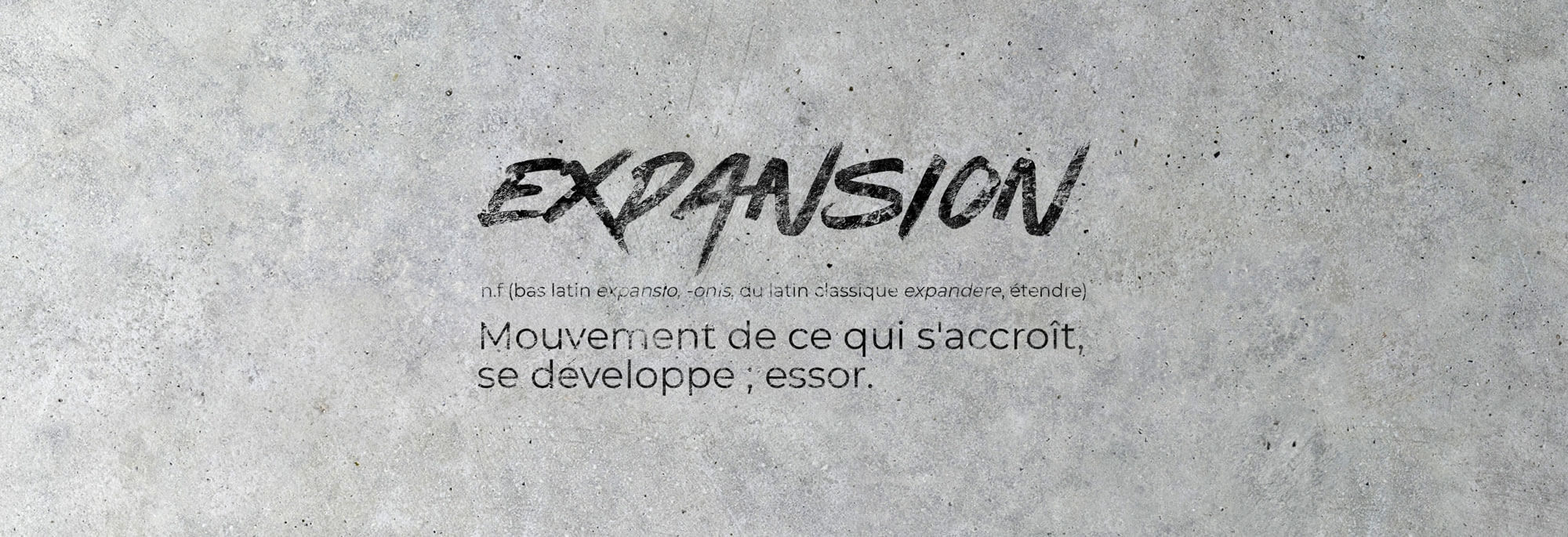 expansion-dirigeantes-nxt-concept
